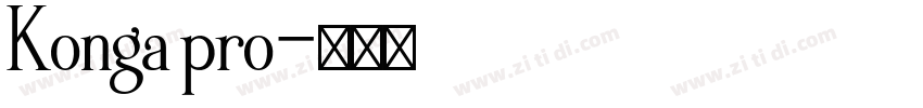 Konga pro字体转换